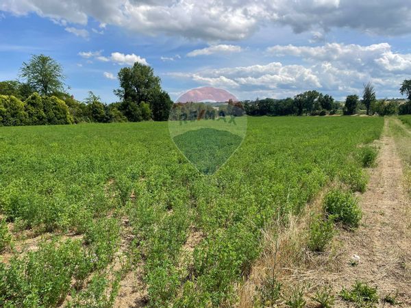 Terreno Jesi, AN Vendita - Foto 2