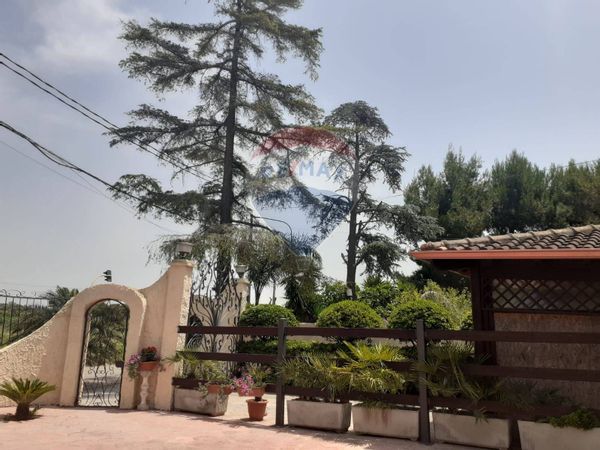 Casa Indipendente Aradeo, LE Vendita - Foto 4