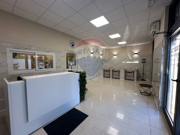 Commerciale Altro Alessandrino, Roma, RM Affitto - Foto 4