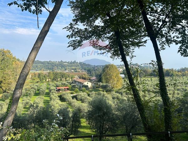 Appartamento Padenghe sul Garda, BS Affitto - Foto 2