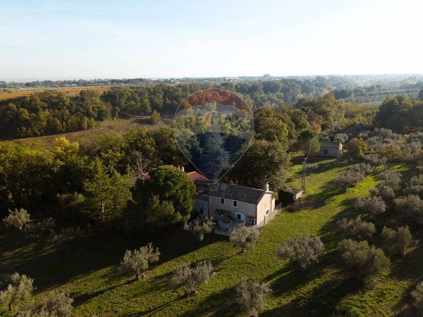 Cascina/Casale Fossacesia, CH Vendita - Foto 3