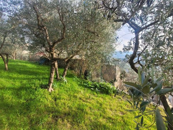 Rustico Bovara, Trevi, PG Vendita - Foto 3