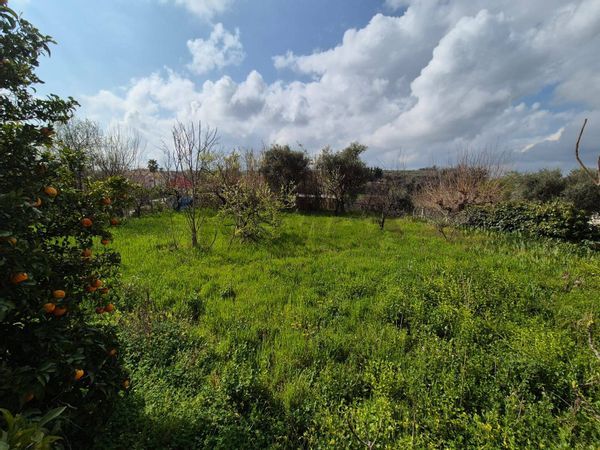 Rustico Giuliano Teatino, CH Vendita - Foto 4