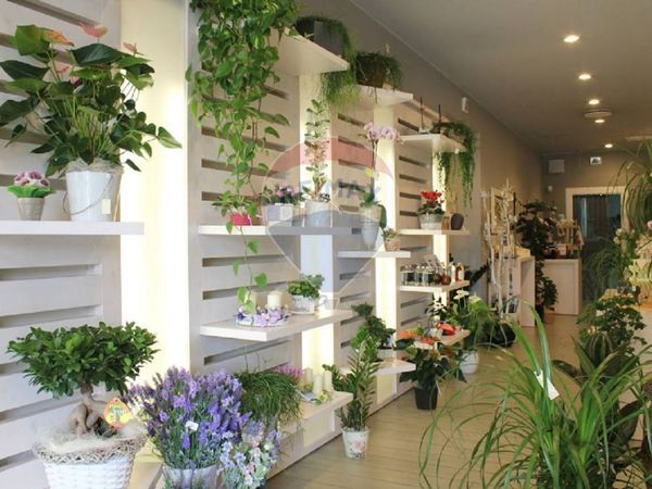 Negozio Mestrino, PD Affitto