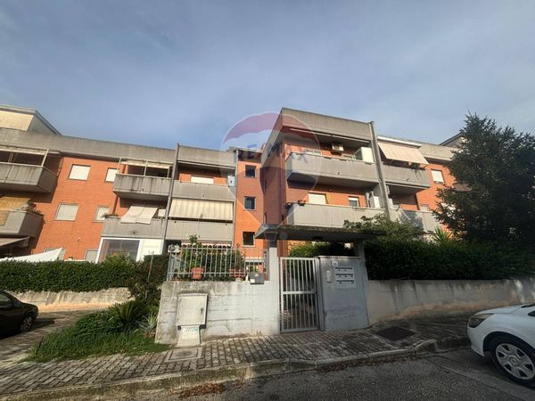 Appartamento Nettuno centro, Nettuno, RM Vendita - Foto 2