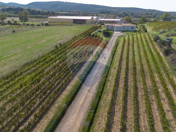 Villa singola Soleminis, SU Vendita - Foto 3