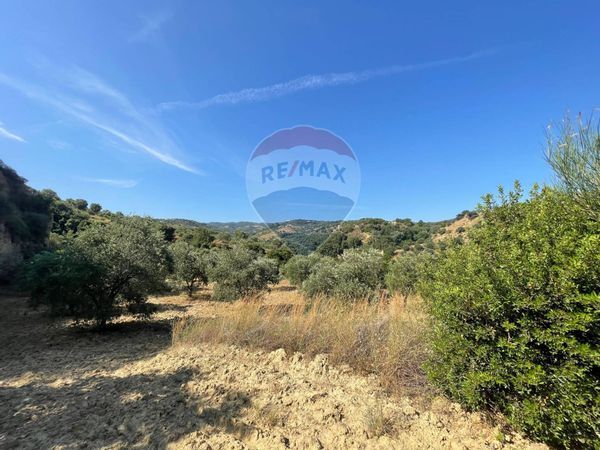 Terreno San Nicola, San Demetrio Corone, CS Vendita - Foto 4