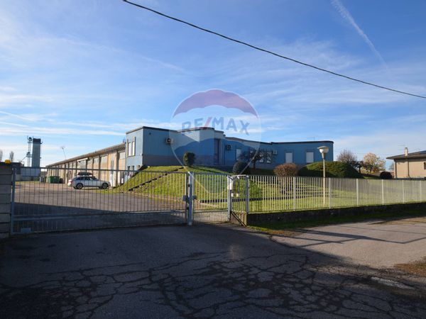 Capannone Industriale Cervarese Santa Croce, PD Vendita
