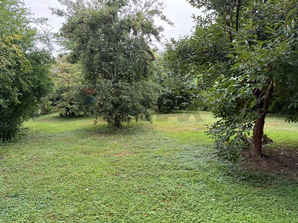Altro San Pietro di Stra, Stra, VE Vendita - Foto 3