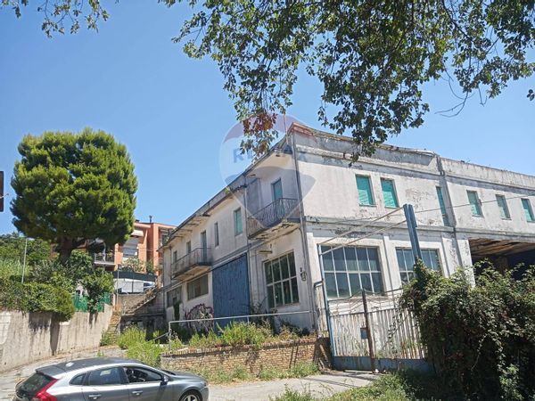 Capannone Industriale Pinocchio, Ancona, AN Vendita - Foto 4