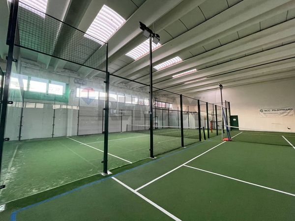 Locale Commerciale Scorcelletti, Castelbellino, AN Affitto