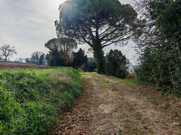 Cascina/Casale Recanati, MC Vendita - Foto 4
