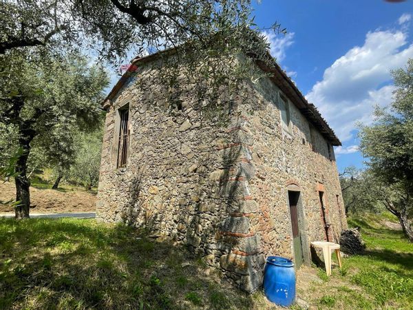 Rustico Collodi, Pescia, PT Vendita - Foto 2