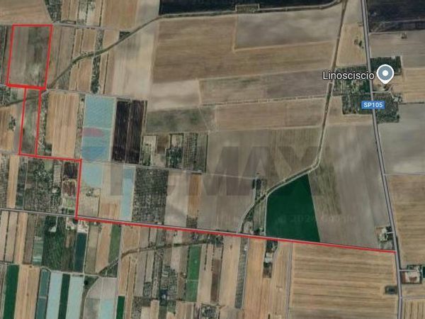 Terreno Segezia, Foggia, FG Vendita