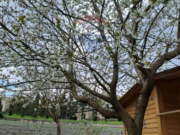 Terreno Costermano sul Garda, VR Vendita - Foto 2