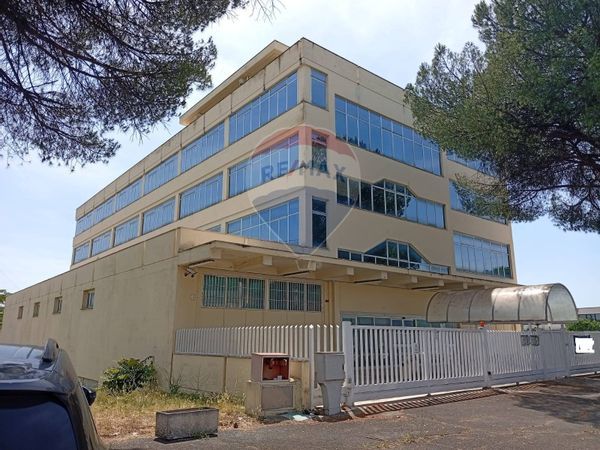 Stabile/Palazzo Guidonia, Guidonia Montecelio, RM Vendita - Foto 2