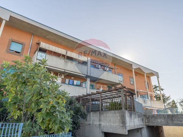 Appartamento Frattocchie, Marino, RM Vendita - Foto 2