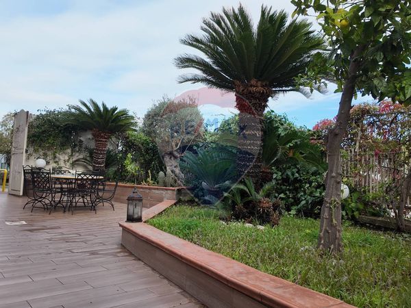 Appartamento Colli Aminei, Napoli, NA Vendita