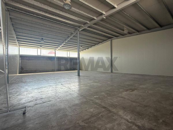 Capannone Industriale Carbonara - Ceglie, Bari, BA Affitto