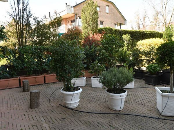 Villa a schiera Villarbasse, TO Vendita - Foto 4