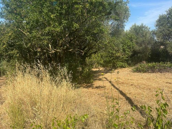 Villa o villino Velletri, RM Vendita - Foto 4