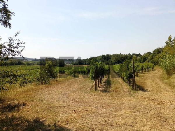 Terreno Castrezzone, Muscoline, BS Vendita