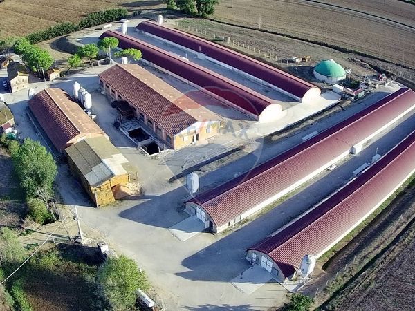 Azienda Agricola Agello, Magione, PG Vendita - Foto 3