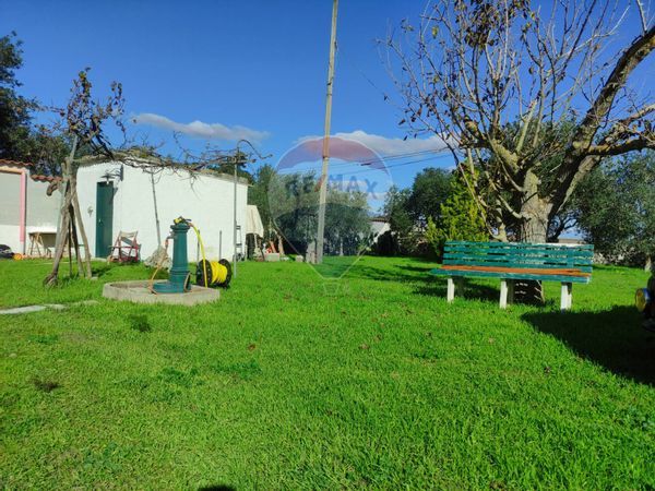 Villa o villino Laterza, TA Vendita - Foto 4