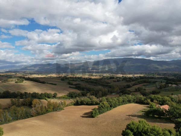 Azienda Agricola Torregrosso, Castel Ritaldi, PG Vendita - Foto 3