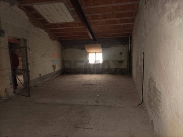 Casa Indipendente Roncole Verdi, Busseto, PR Vendita - Foto 3