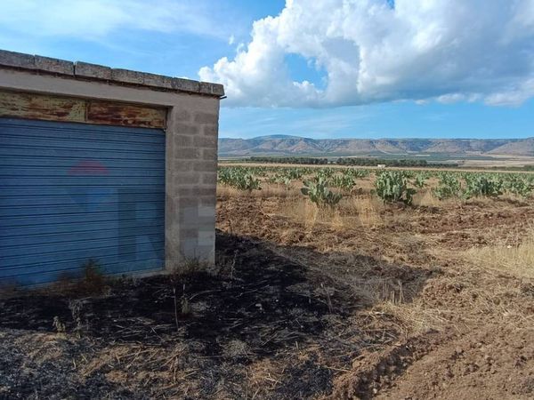 Terreno San Giovanni Rotondo, FG Vendita - Foto 2