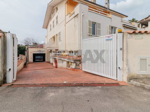 Altro Canino, VT Vendita