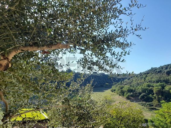 Appartamento Nazzano, RM Vendita - Foto 4