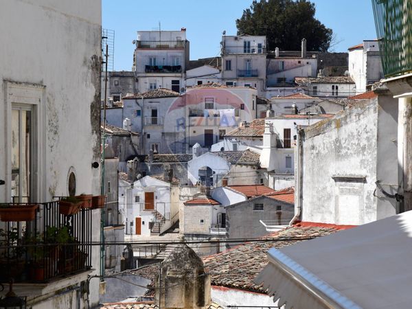 Commerciale Altro Monte Sant'Angelo, FG Vendita - Foto 4