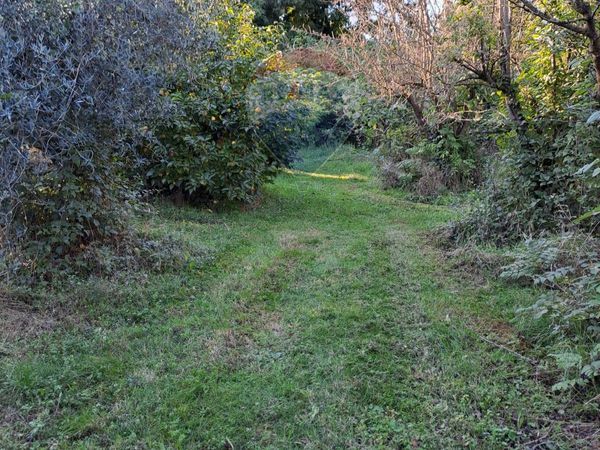 Terreno Costermano sul Garda, VR Vendita - Foto 2