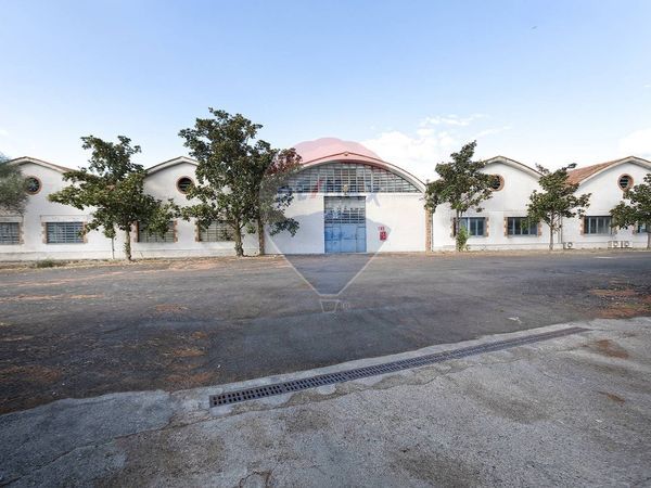 Capannone Industriale Periferia, Viterbo, VT Affitto