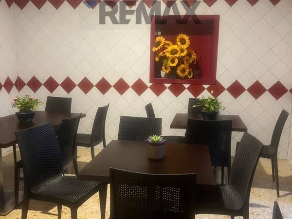 Ristorante Piedimonte San Germano, FR Affitto - Foto 3