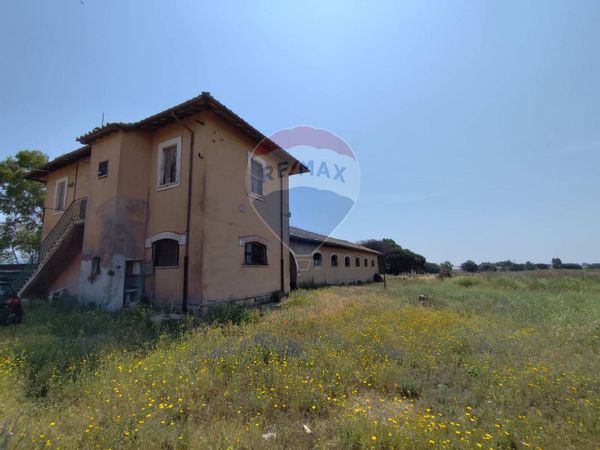 Terreno S. Palomba, Pomezia, RM Vendita