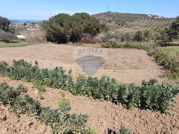 Rustico Santa Flavia, PA Vendita - Foto 3