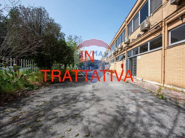 Ufficio Settecamini, Roma, RM Affitto