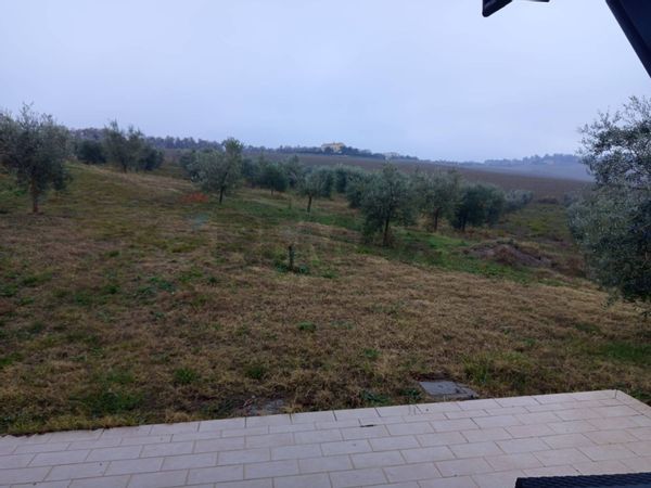 Casa Indipendente Torrette Di Ancona, Ancona, AN Affitto - Foto 4