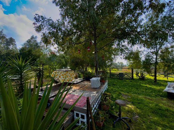 Rustico Motta Sant'Anastasia, CT Vendita - Foto 3