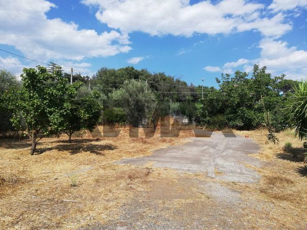Villa singola Misterbianco, CT Vendita - Foto 4