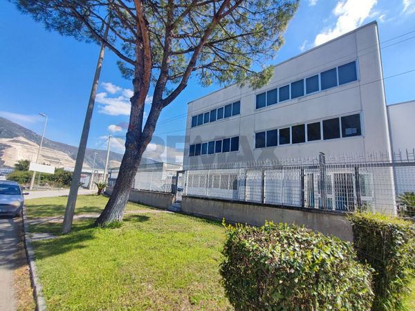 Ufficio Nola, NA Affitto