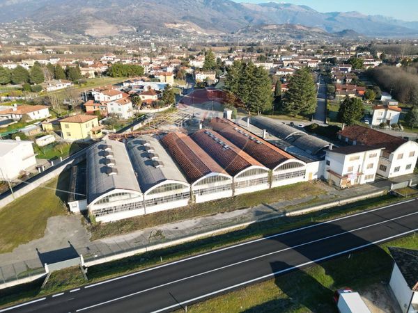 Commerciale Altro Ponte della Muda, Cordignano, TV Vendita - Foto 3