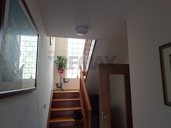 Casa Semindipendente Sorriva, Sovramonte, BL Vendita - Foto 4
