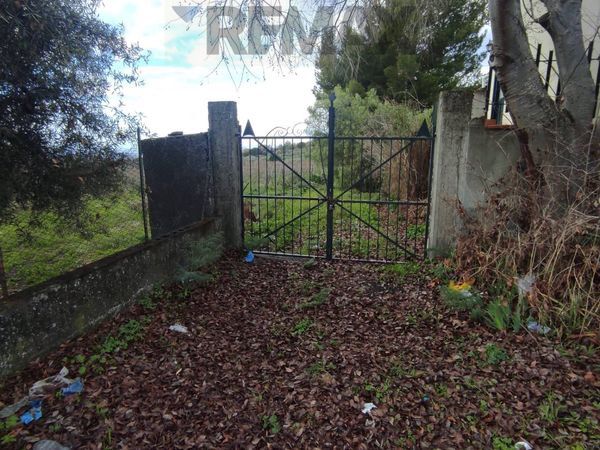 Cascina/Casale Belpasso, CT Vendita - Foto 4