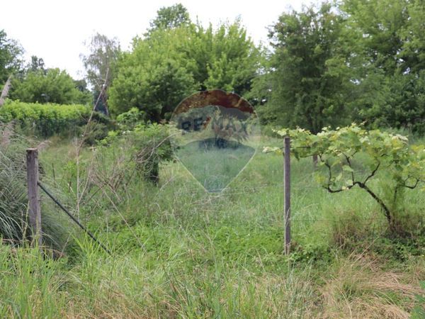 Terreno Pascolo, Molteno, LC Vendita - Foto 2