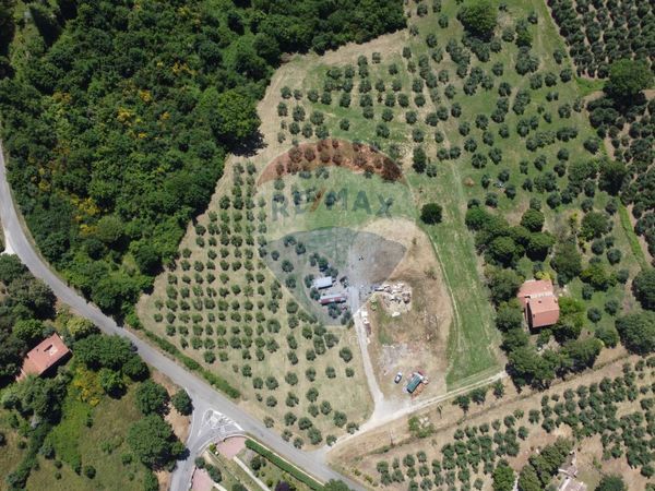 Terreno Edificabile Montecchio, TR Vendita - Foto 2
