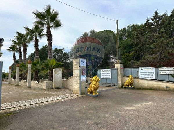 Commerciale Altro Francavilla Fontana, BR Vendita - Foto 2